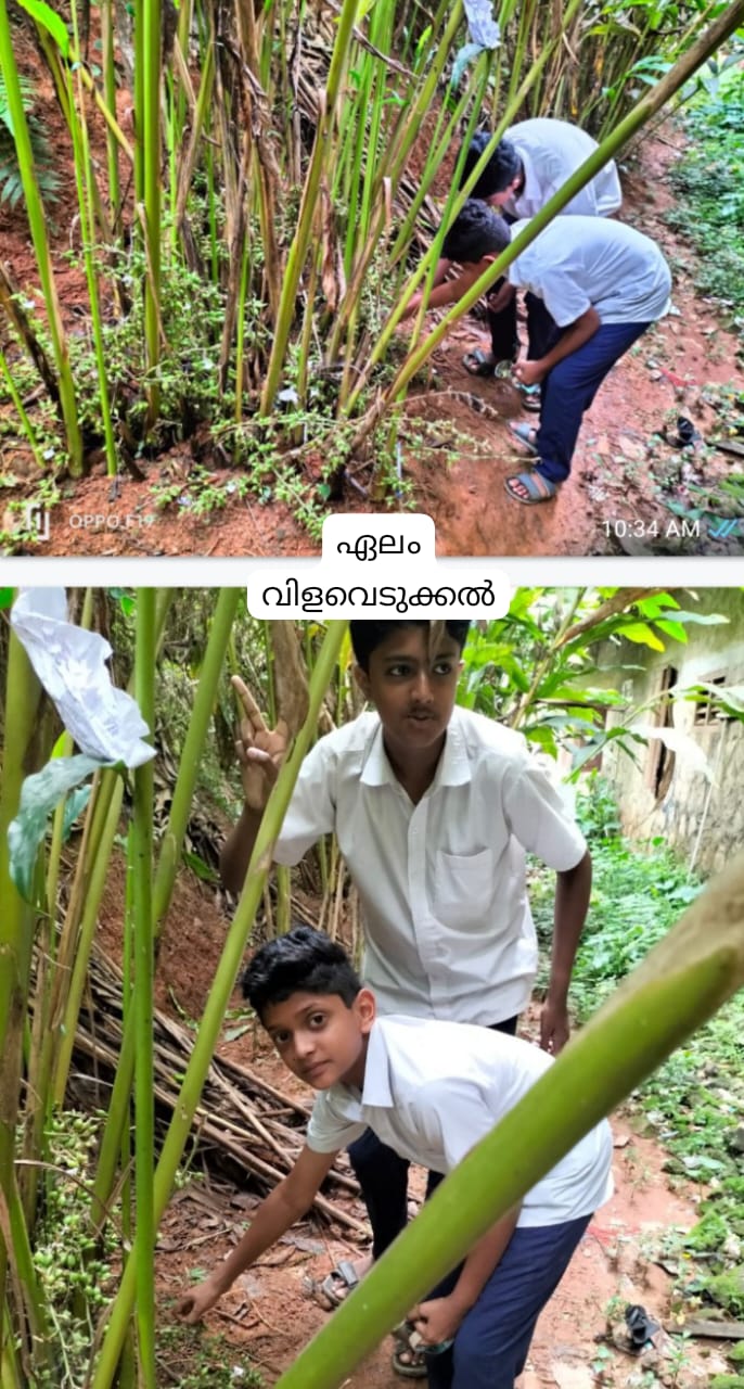 Other images - GHSS Vaduvanchal